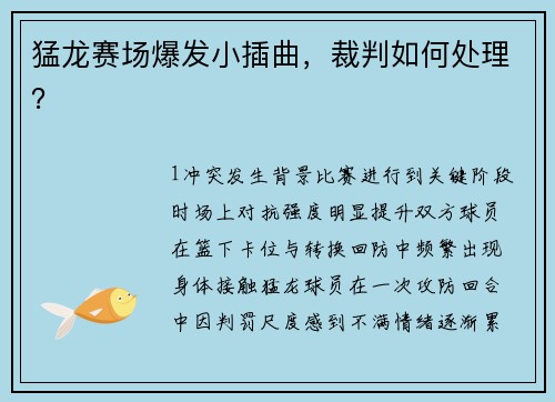 猛龙赛场爆发小插曲，裁判如何处理？