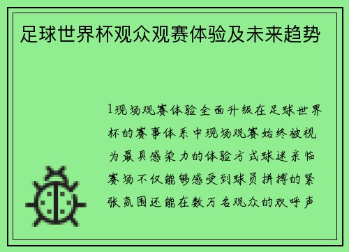 足球世界杯观众观赛体验及未来趋势